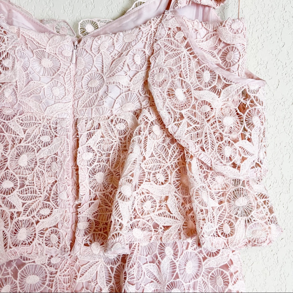 Amur Hayden Lace Midi Dress Blush Pink Size 2 NWT - Picture 9 of 11